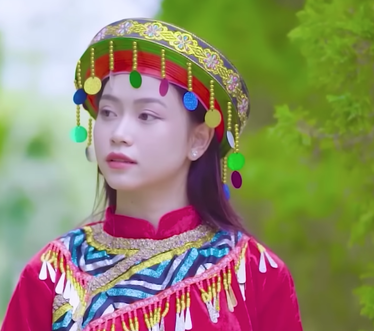 lĩnh vực hoạt động
